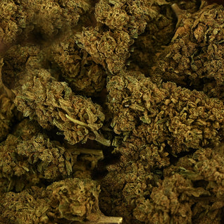 TONIC KUSH