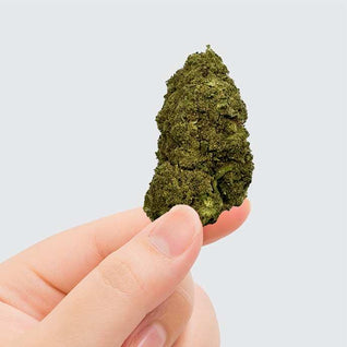 PINK LADY KUSH