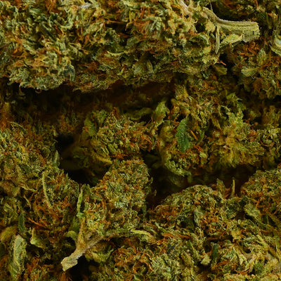 SHERBET