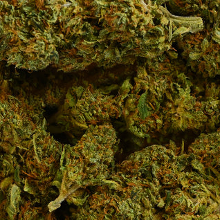 SHERBET