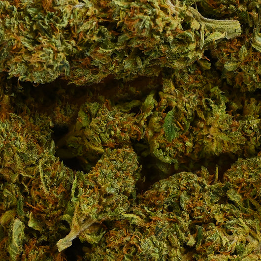 SHERBET