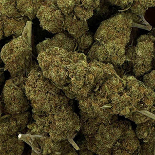 BLUEBERRY