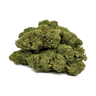 GORILLA GLUE