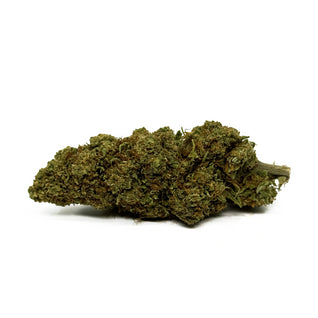 ORANGE BUD