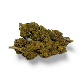 CRITICAL+
