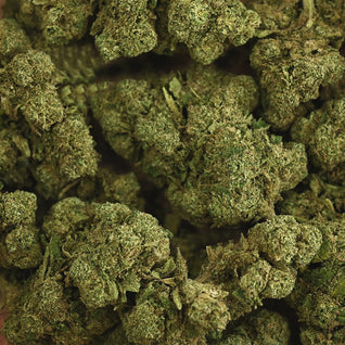 RAINBOW KUSH