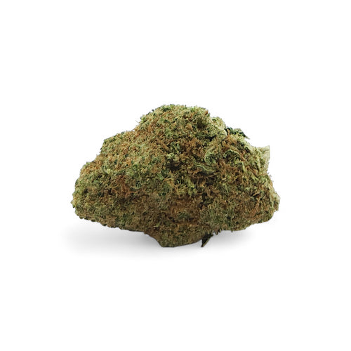 TROPICAL HAZE PREMIUM