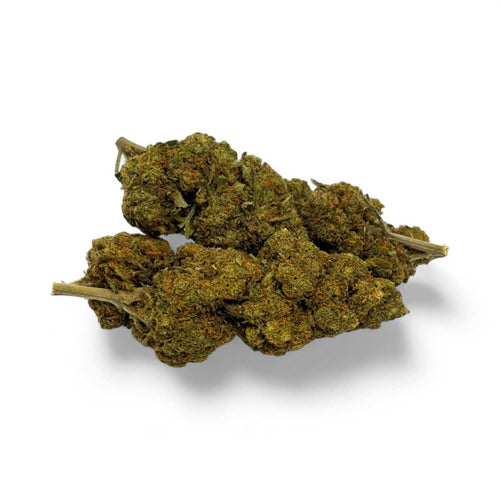 CRITICAL+